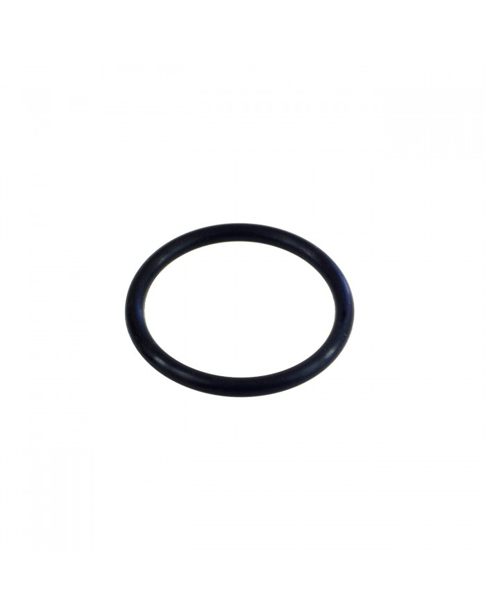 O-RING KORKA OLEJOWEGO POMPY CAT 350 (14177)