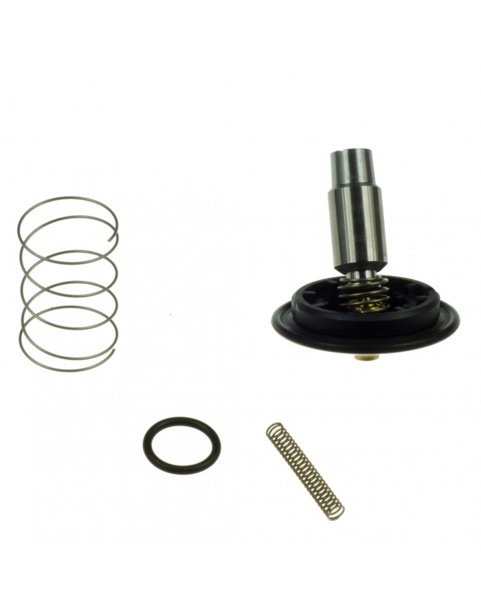 WKŁAD ELEKTROZAWORU BÜRKERT 6213 0-10BAR FKM